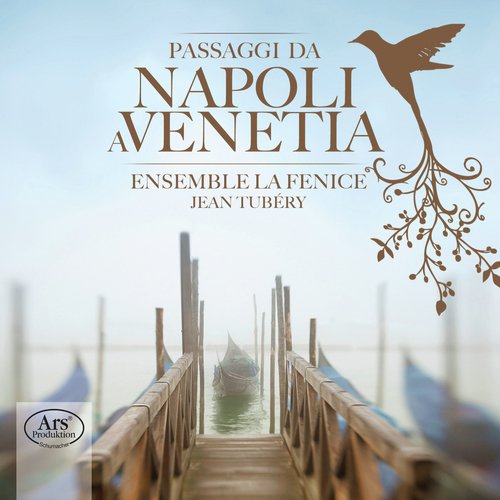 Passaggi da Napoli a Venetia_poster_image