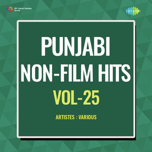 Punjabi Non - Film Hits Vol - 25