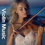 Not Dance Violin artwork