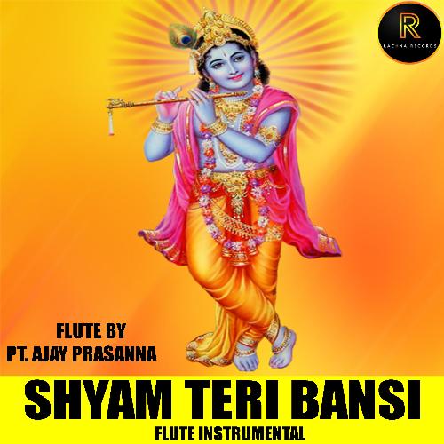 Shyam Teri Bansi Flute Instrumental_poster_image