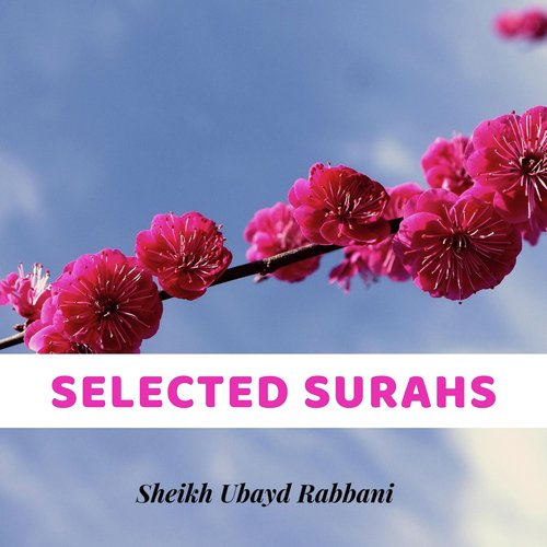 Selected Surahs_poster_image