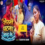Sherni Patna Badh Ke