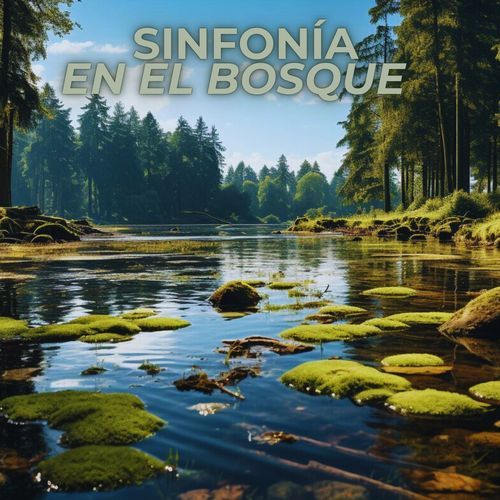 Sonidos del valle cover art