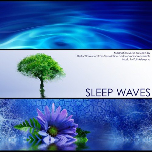 Sleep Waves - Meditation Music to Sleep By, Delta Waves for Brain Stimulation and Insomnia Treatments, Music to Fall Asleep to