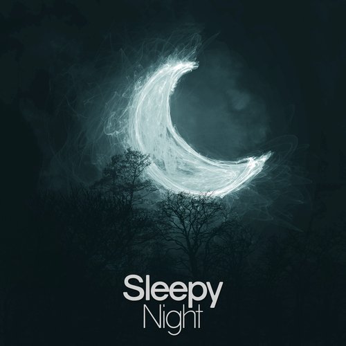 Sleepy Night_poster_image