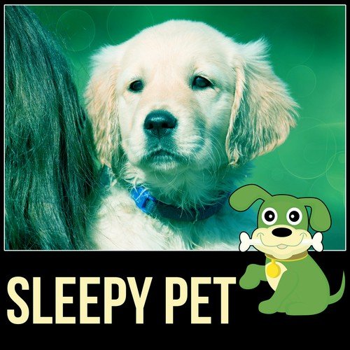 Sleepy Pet – Happy Animal, New Age Music for Puppy & Kitty, Music for Cats to Calm Down, Relaxing Music for Your Pet, Calm Your Anxious Dog, Nature Sounds for Relaxation