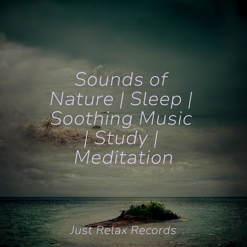 Sounds of Nature | Sleep | Soothing Music | Study | Meditation