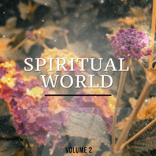 Spiritual World, Vol. 2 (Finest Meditation & Spa Music)
