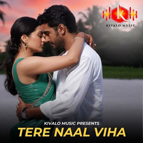 Tere Naal Viha