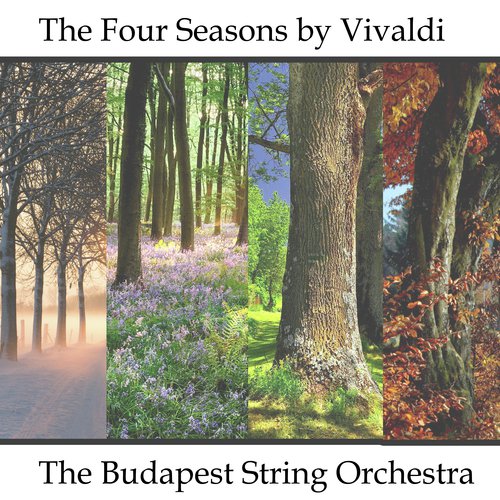 The Four Seasons - A Symphony for Strings