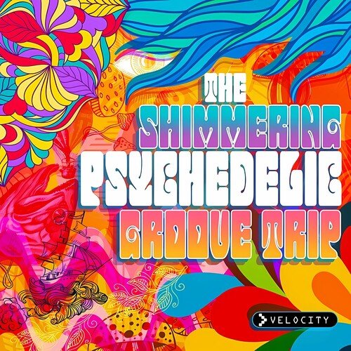 The Shimmering Psychedelic Groove Trip (Edited)