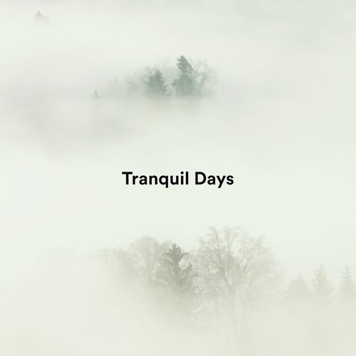 Tranquil Days