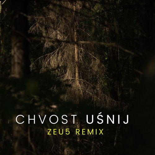 Uśnij (Zeu5 Remix) cover art