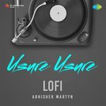 Usure Usure - Lofi