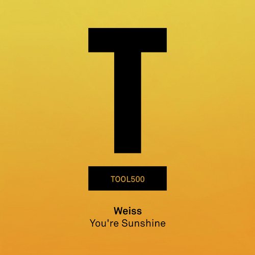 You're Sunshine (Extended Mix)