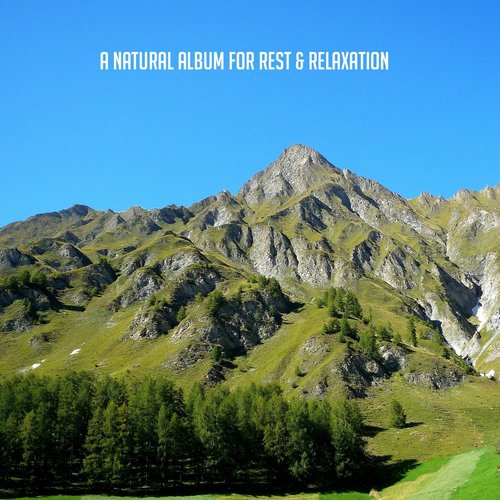 A Natural Album For Rest & Relaxation