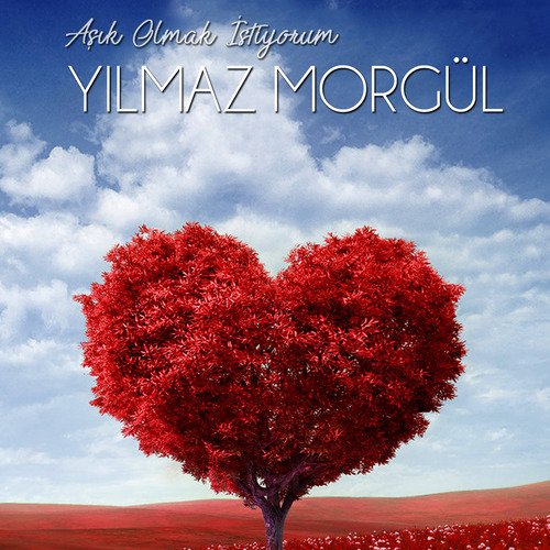 Kapıldım Gidiyorum cover art