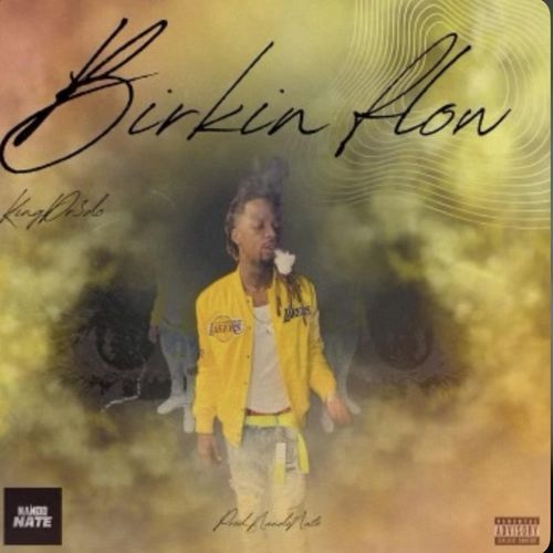 Birkin Flow cover art