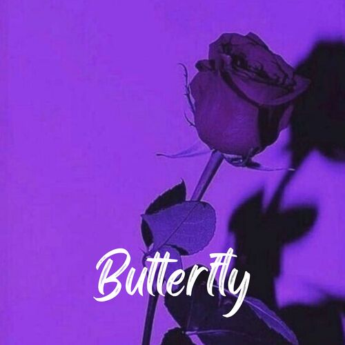 Butterfly (Slowed and Reverb)_poster_image