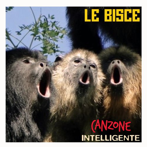 Canzone Intelligente_poster_image