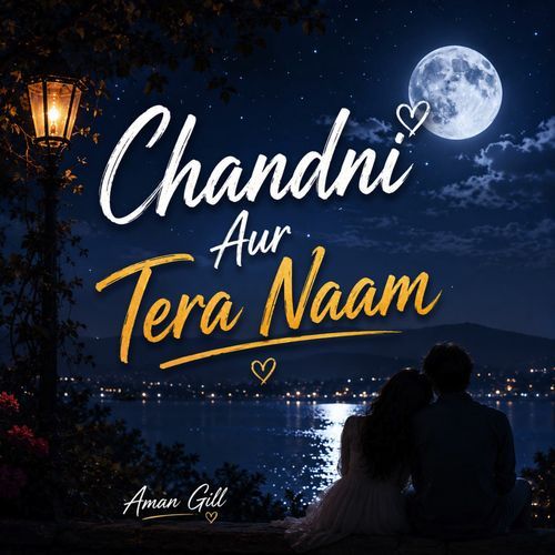 Chandni Aur Tera Naam