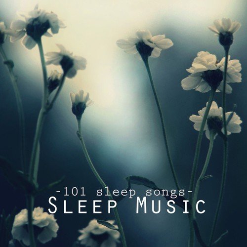 Deep Sleep Music - 101 Sleep Songs for Sleeping, Sounds of Nature to Relax & Falling Asleep at Night