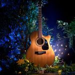 Night Tranquil Guitar Strums