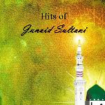 Hits of Junaid Sultani