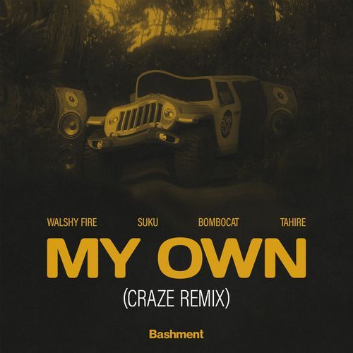 My Own (Craze Remix)