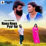 Nawa Nawa Pyar Hai
