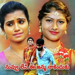 Nuvvu Leni E Janma Nakendhuku