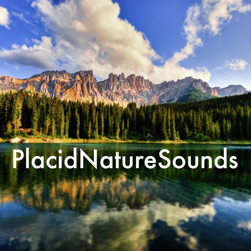 Placid Nature Sounds