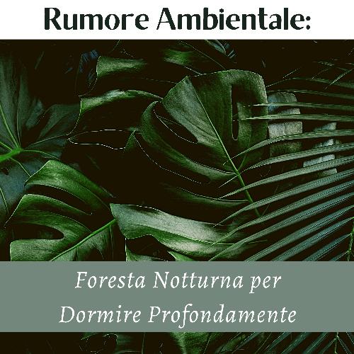 Uccelli nella foresta (per dormire) cover art