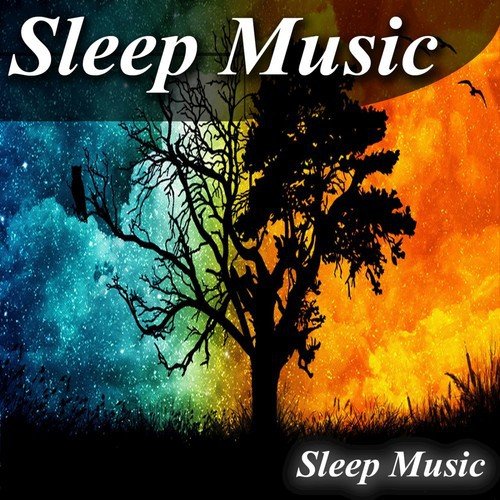 Sleep Music_poster_image