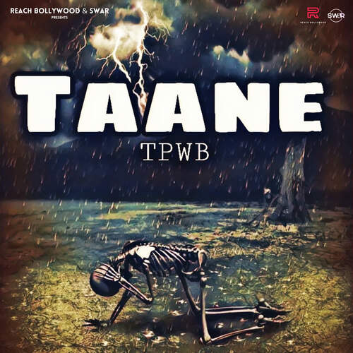 Taane