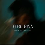 Tere Bina