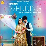 Teri Meri Wedding