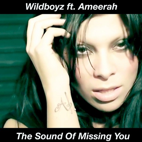 The Sound Of Missing You 1 Lyrics Wildboyz Only On Jiosaavn