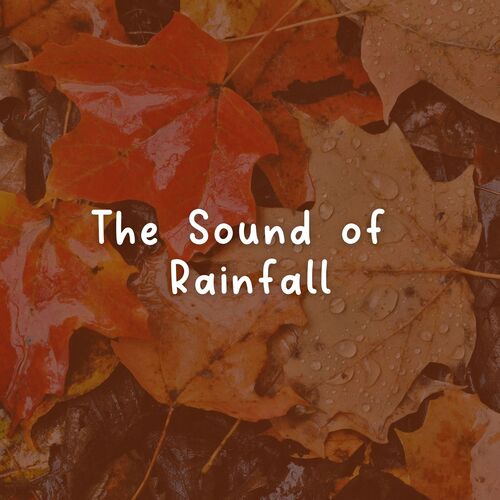 The Sound of Rainfall_poster_image