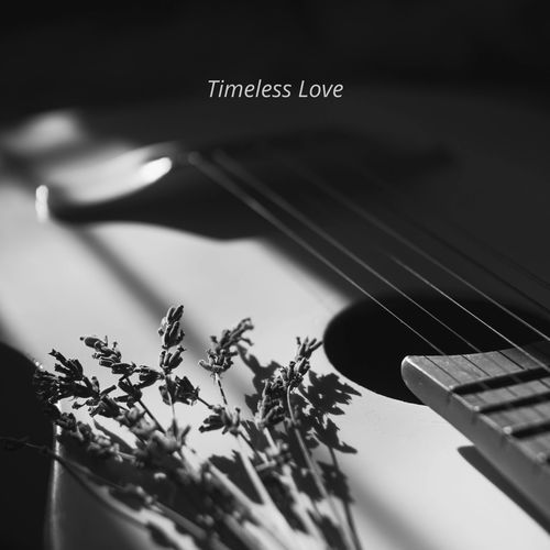 Timeless Love_poster_image