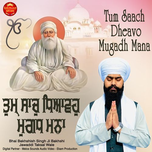 Tum Saach Dheavo Mugadh Mana