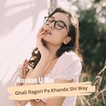 Janana Da Di Chi Adat Wi Way artwork