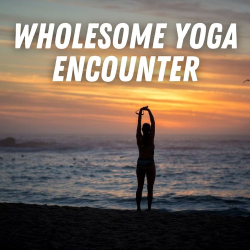 Wholesome Yoga Encounter_poster_image