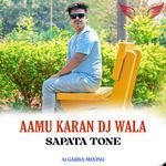 AAMU KARAN DJ WALA SAPATA TONE