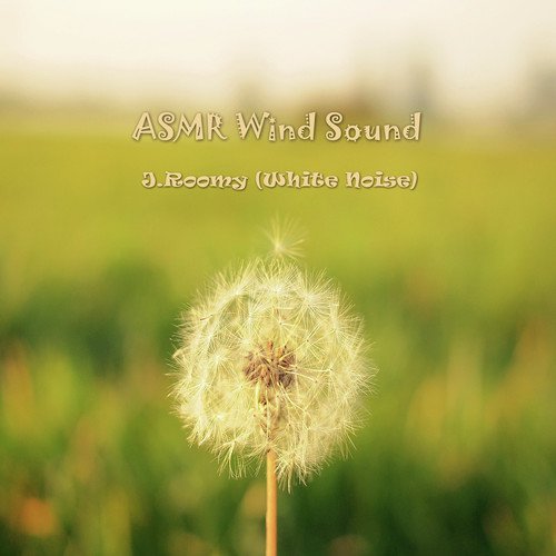 ASMR Wind Sound_poster_image