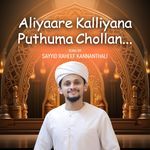 Aliyaare kalliyana puthuma chollan