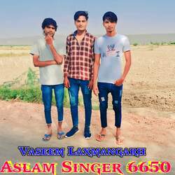 Aslam Singer 6650-Ki8qB0FIfEI