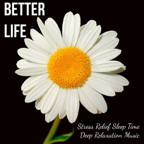 Yoga for Kids cover art
