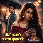 Bhigi Palako Pe Naam Tumhara Hai