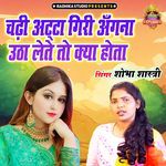 Chadhi Atta Giri Angana Utha Lete To Kya Hota